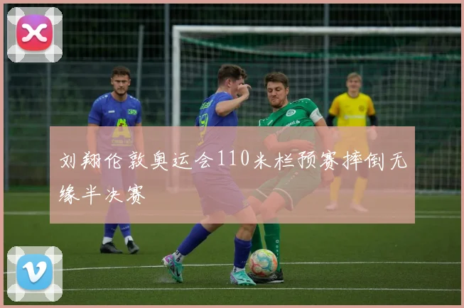 刘翔伦敦奥运会110米栏预赛摔倒无缘半决赛